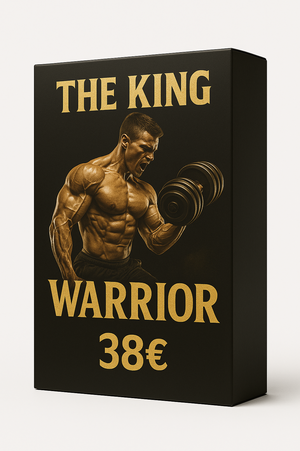 🥈 The King Warrior