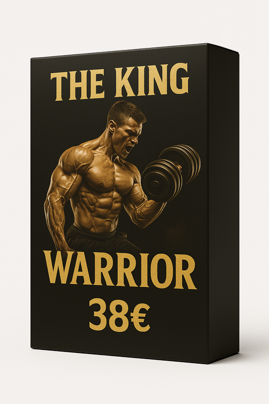 🥈 The King Warrior